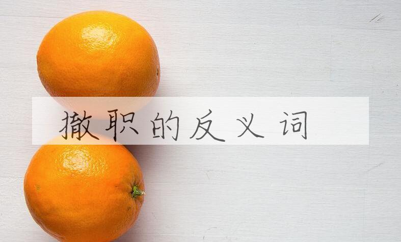 用撤职造句