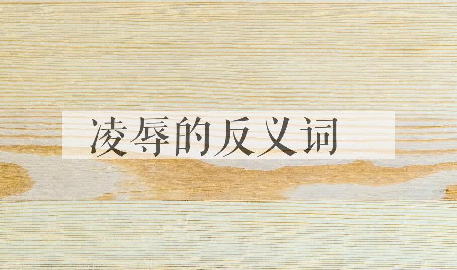 用凌辱造句