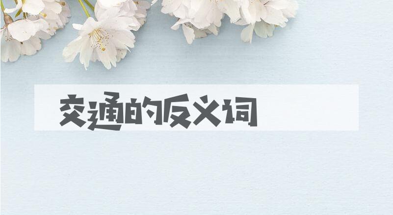 用交通造句