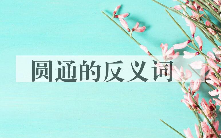 用圆通造句