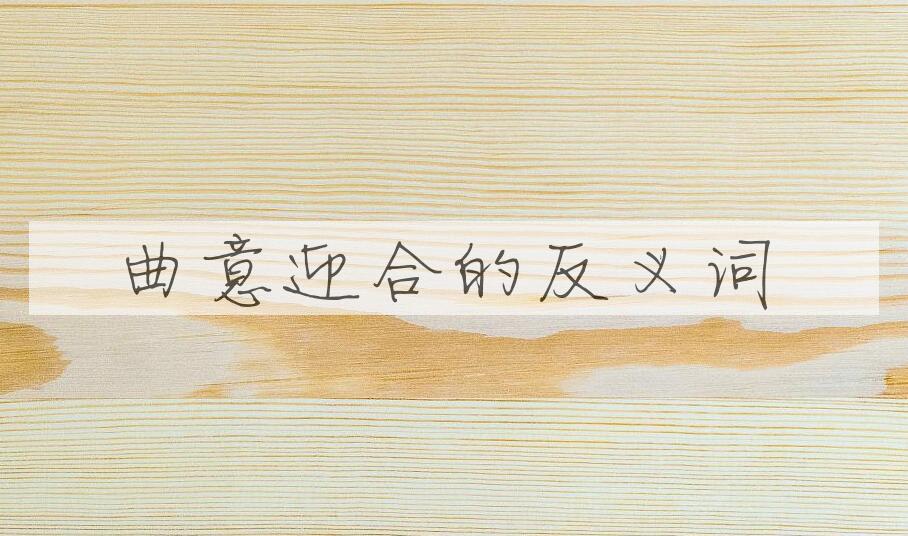 用曲意迎合造句