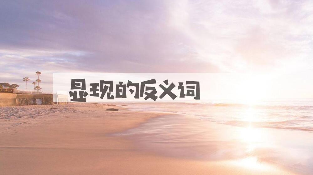 用显现造句