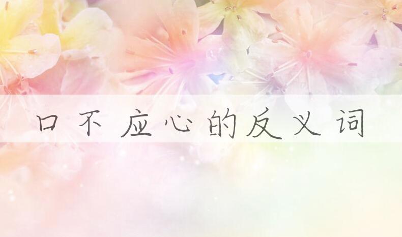 用口不应心造句