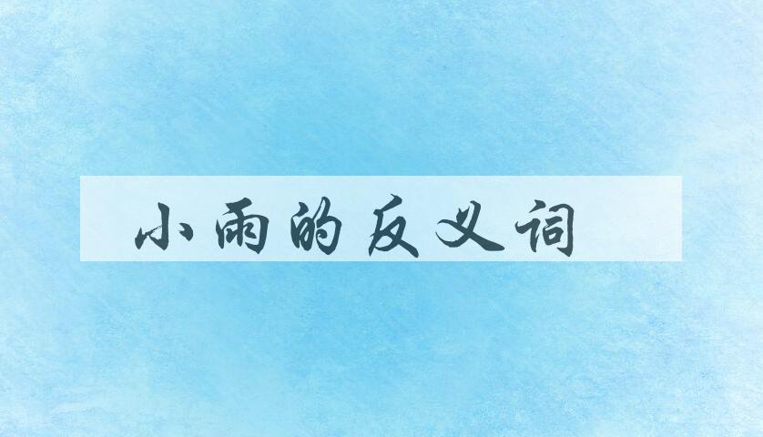 用小雨造句