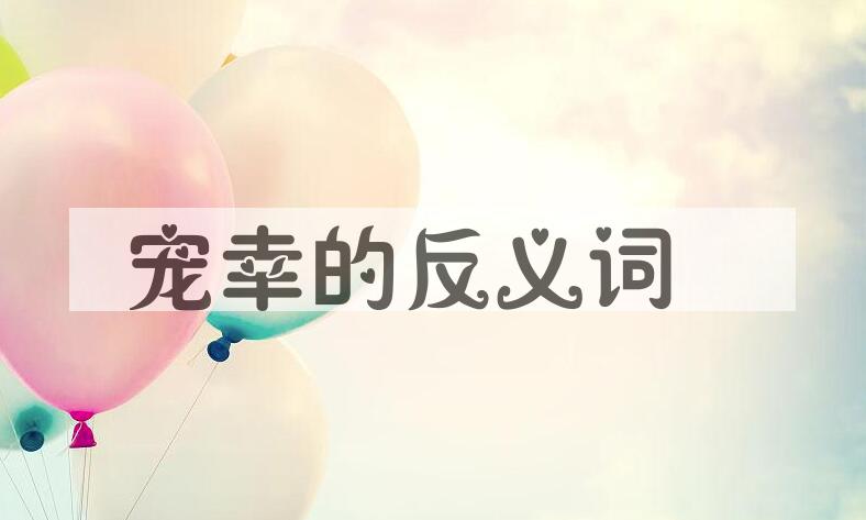 用宠幸造句