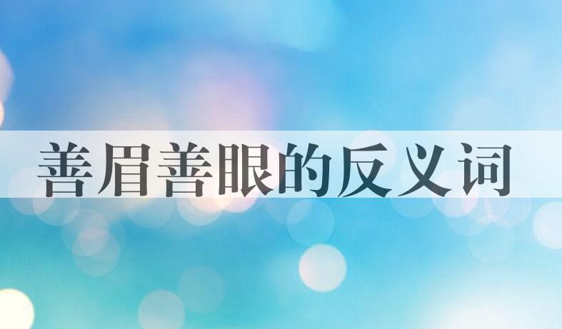 用善眉善眼造句