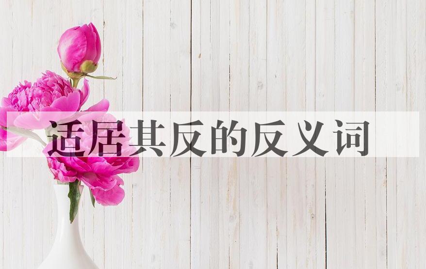 用适居其反造句