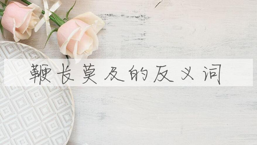 用鞭长莫及造句