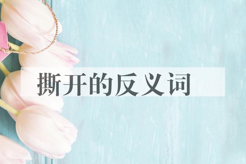 用撕开造句
