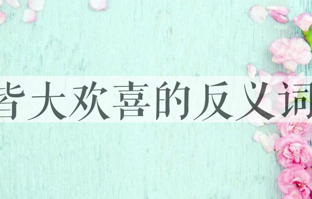 用皆大欢喜造句