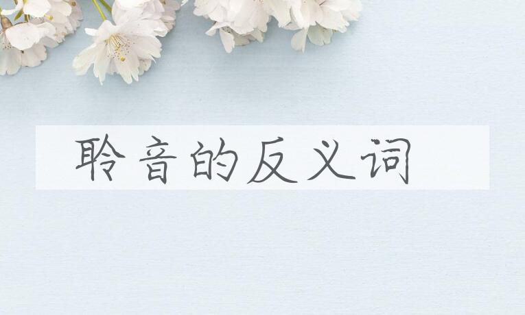 用聆音造句