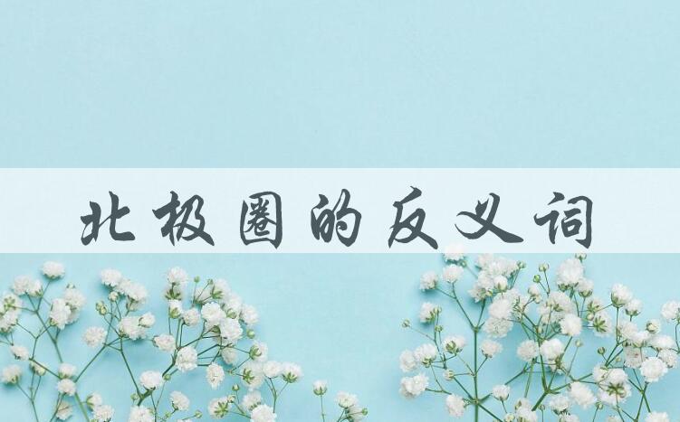 用北极圈造句