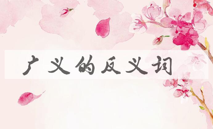 用广义造句