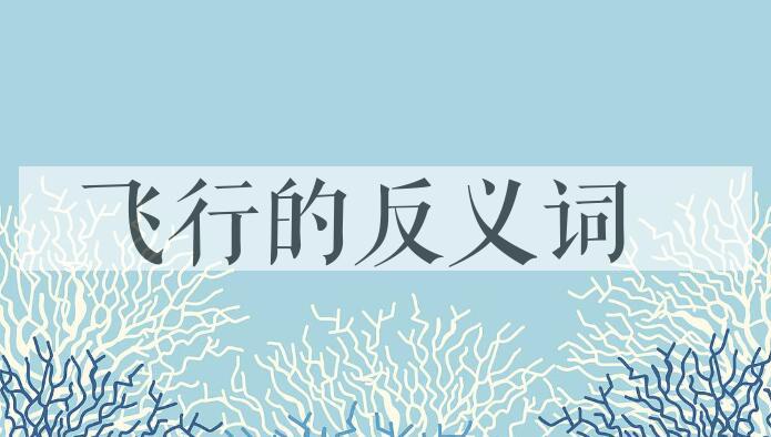 用飞行造句