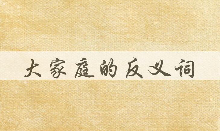 用大家庭造句