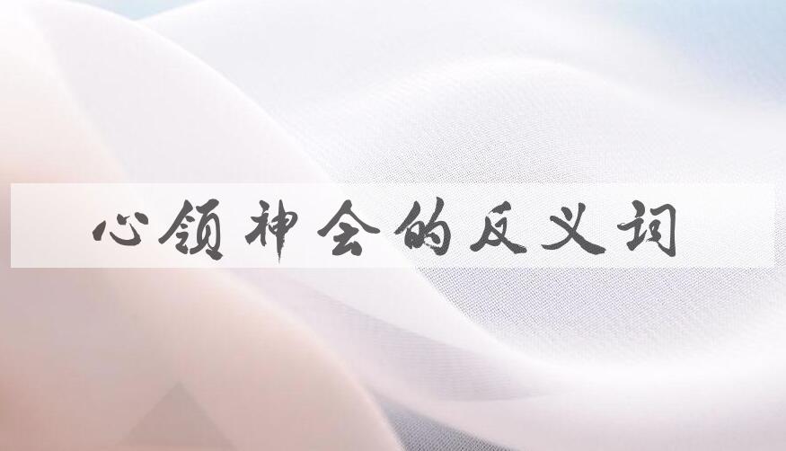 用心领神会造句