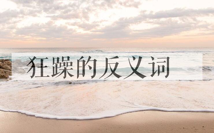 用狂躁造句