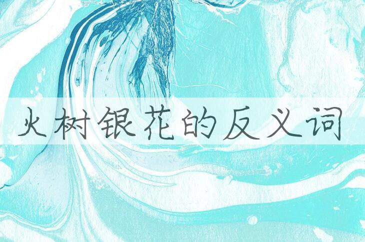 用火树银花造句