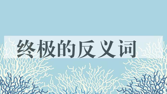 用终极造句