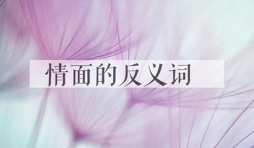 用情面造句