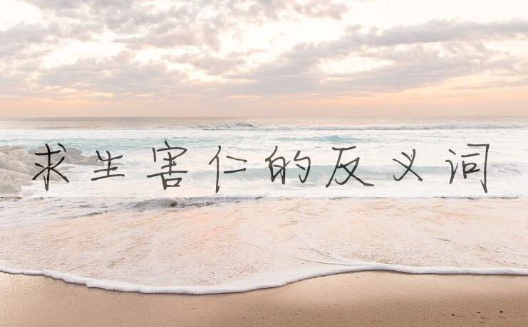 用求生害仁造句