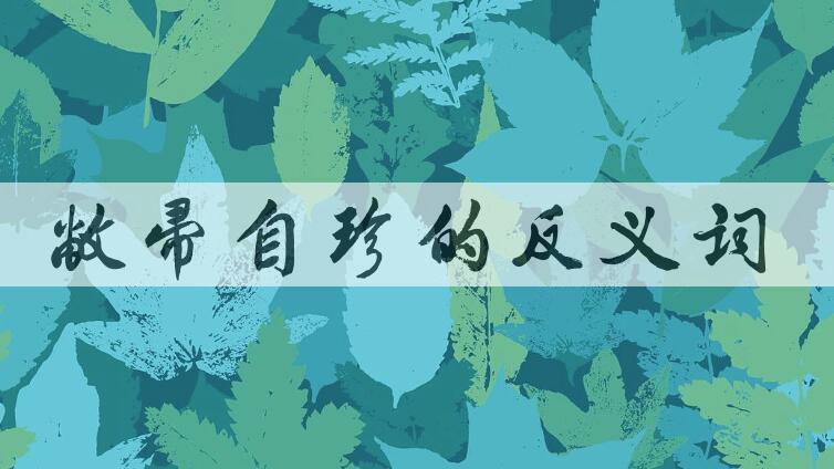 用敝帚自珍造句