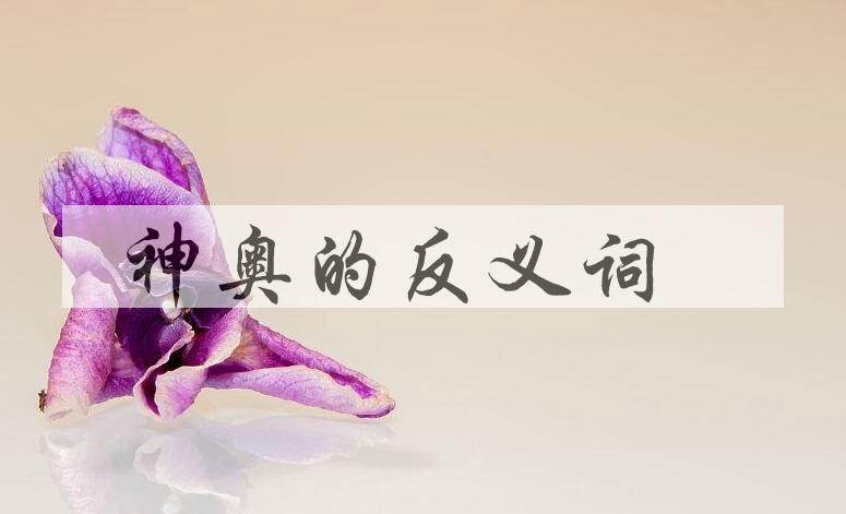 用神奥造句