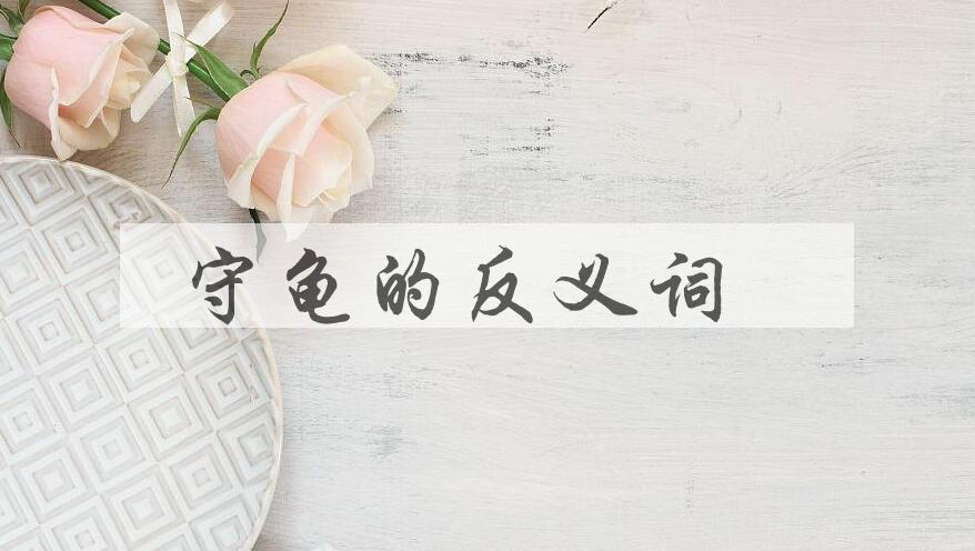 用守龟造句
