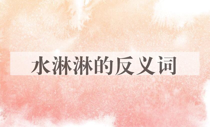用水淋淋造句