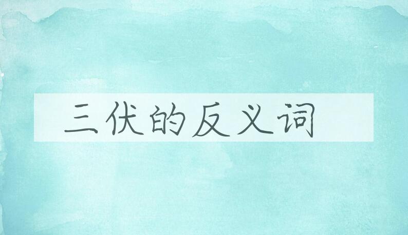 用三伏造句