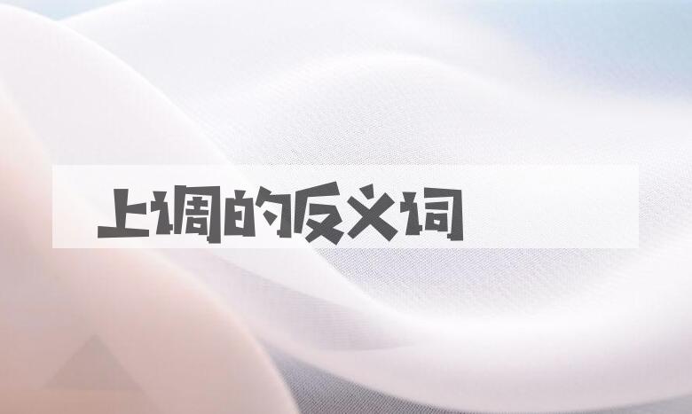 用上调造句