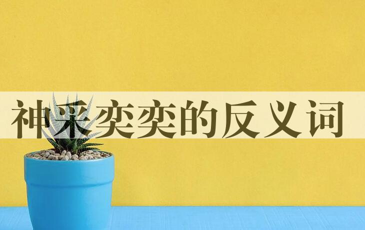 用神采奕奕造句