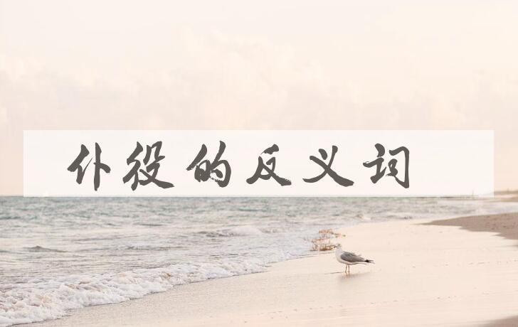 用仆役造句