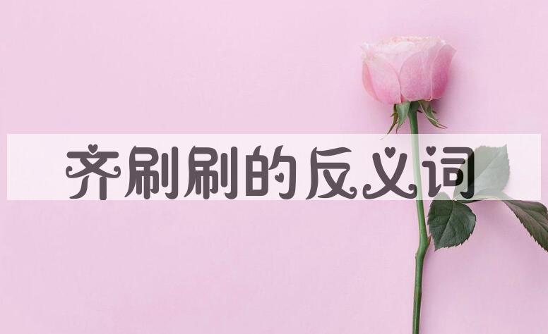 用齐刷刷造句