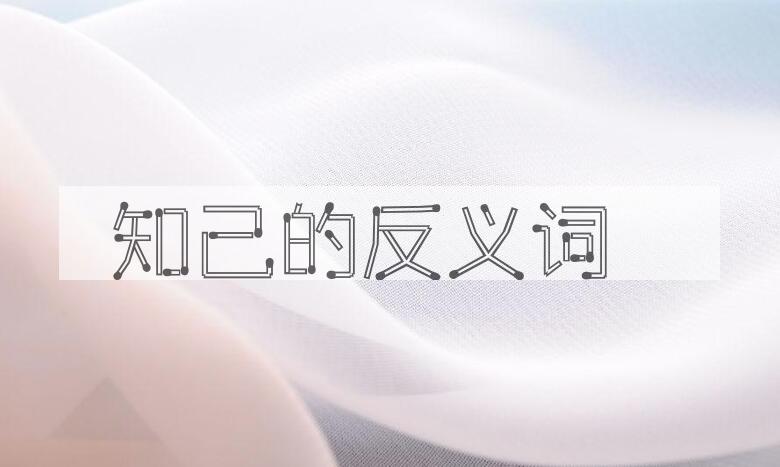 用知己造句
