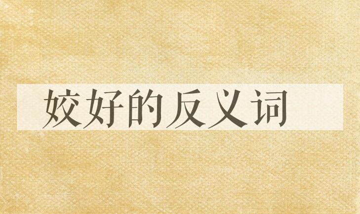 用姣好造句