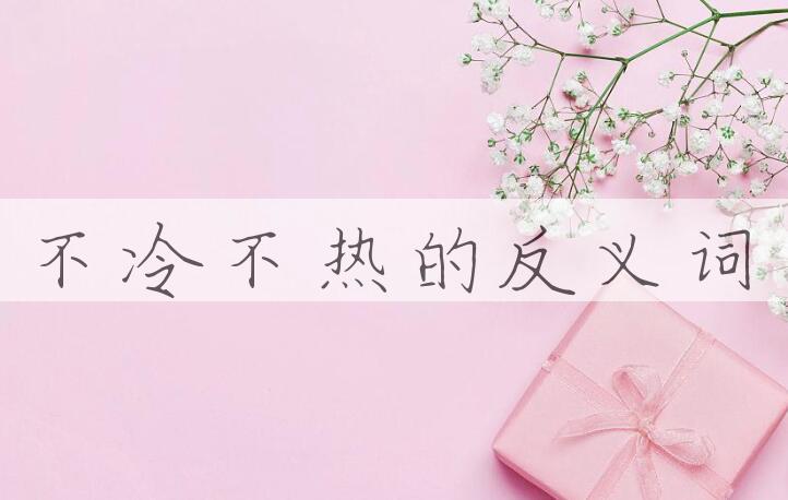 用不冷不热造句