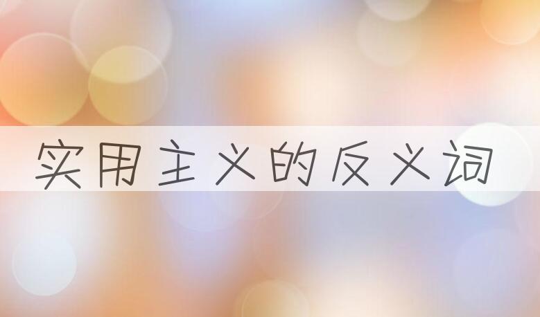 用实用主义造句