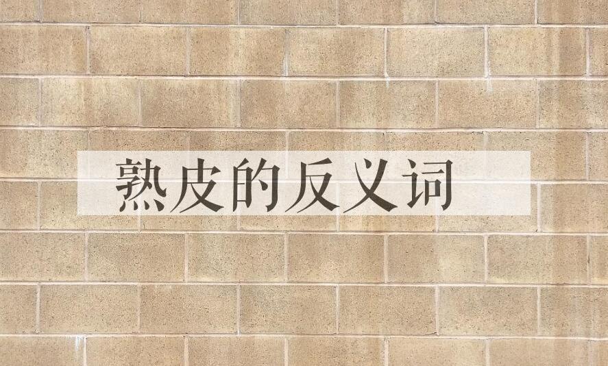 用熟皮造句