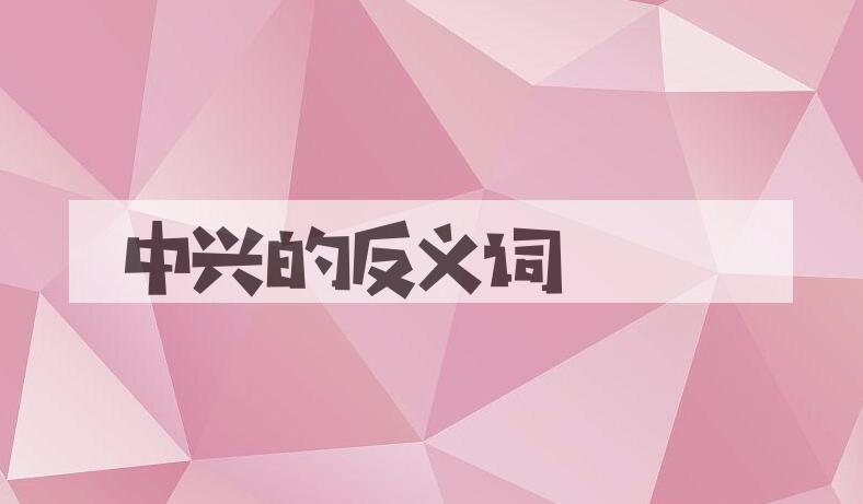 用中兴造句