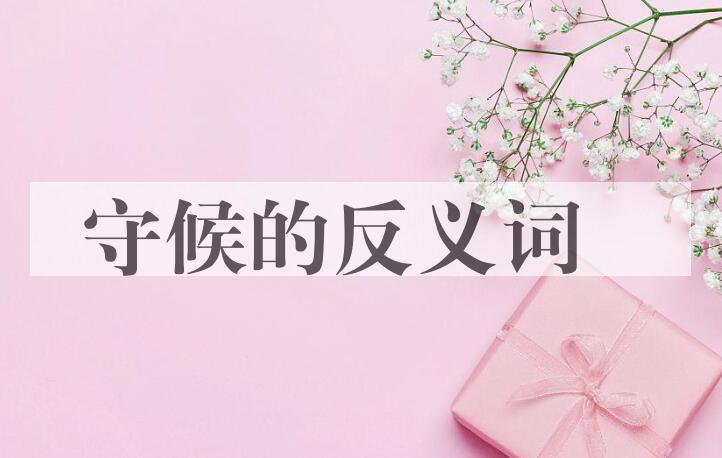 用守候造句