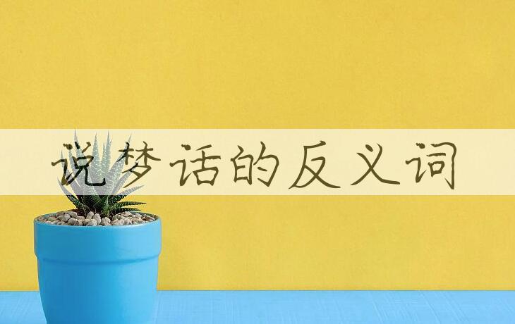 用说梦话造句