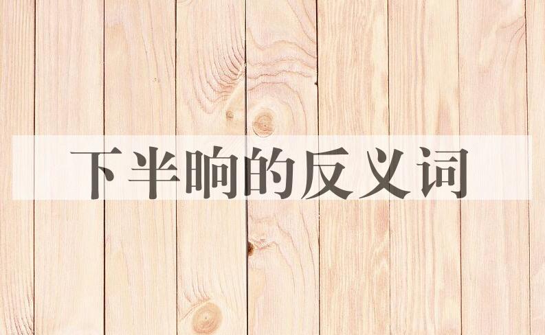 用下半晌造句