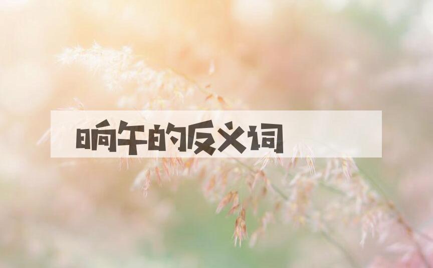 用晌午造句