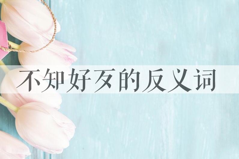 用不知好歹造句