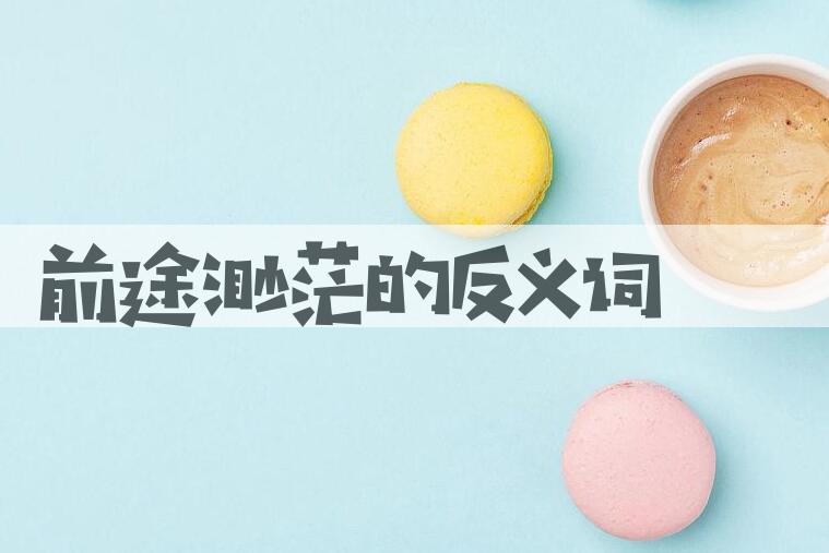 用前途渺茫造句