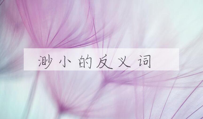 用渺小造句