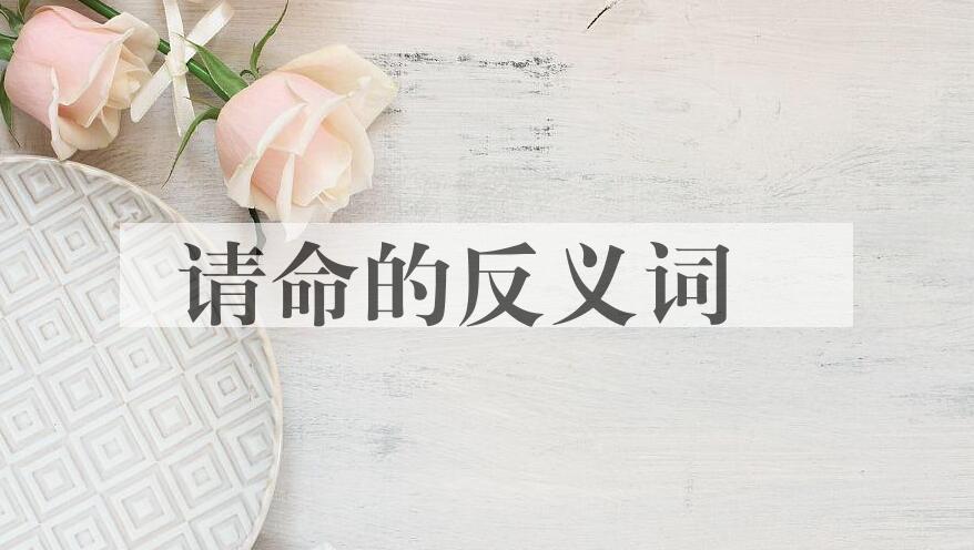 用请命造句