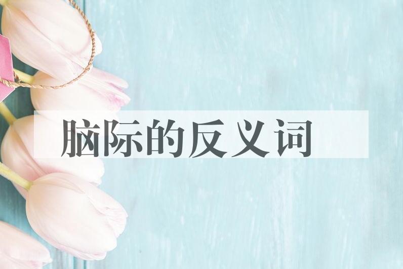 用脑际造句