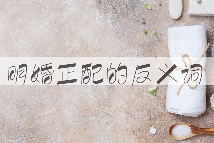 用明婚正配造句